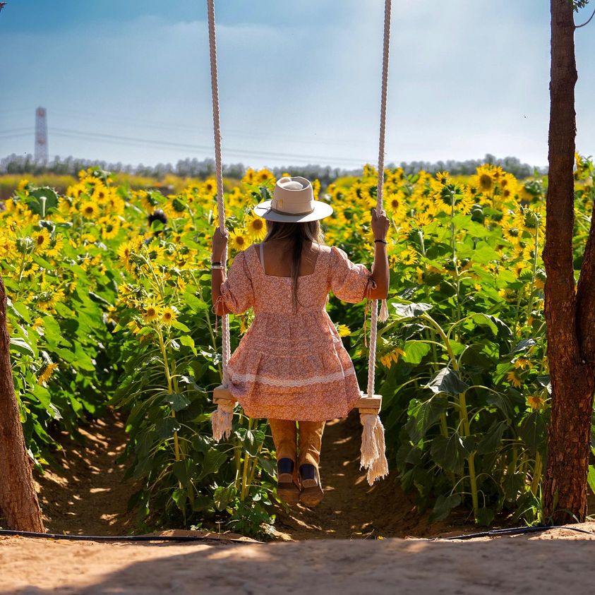 Bio Farm Tour with Safari At Nujum. bring your desert safari Experience to a new heights