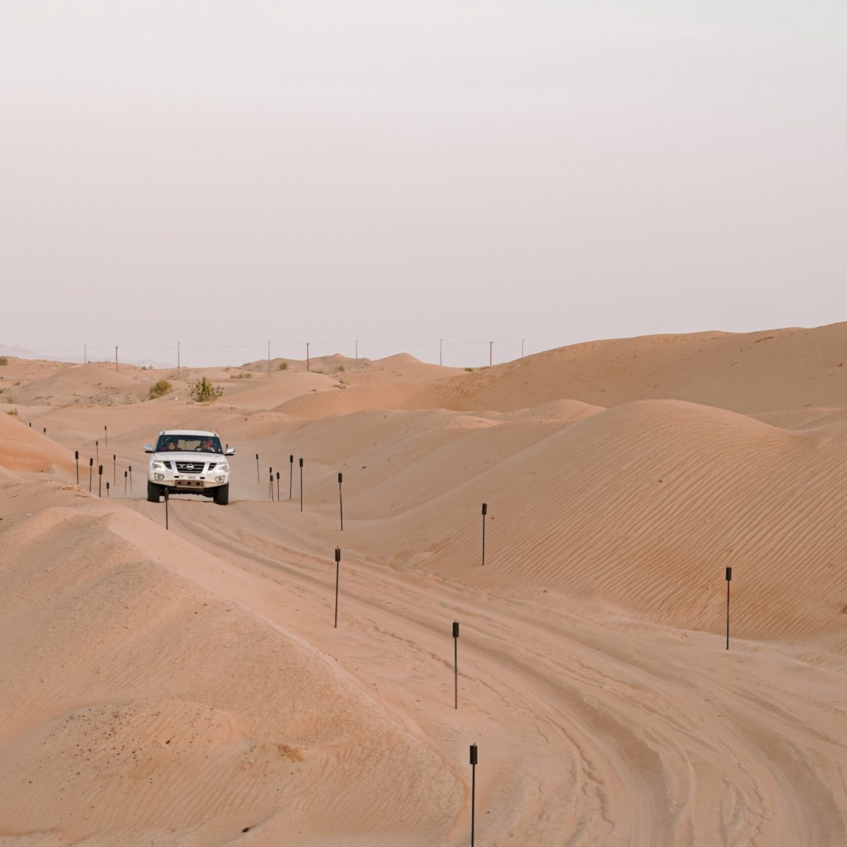 Premium Desert Safari Tour With Dinner at Nujum - Nujum