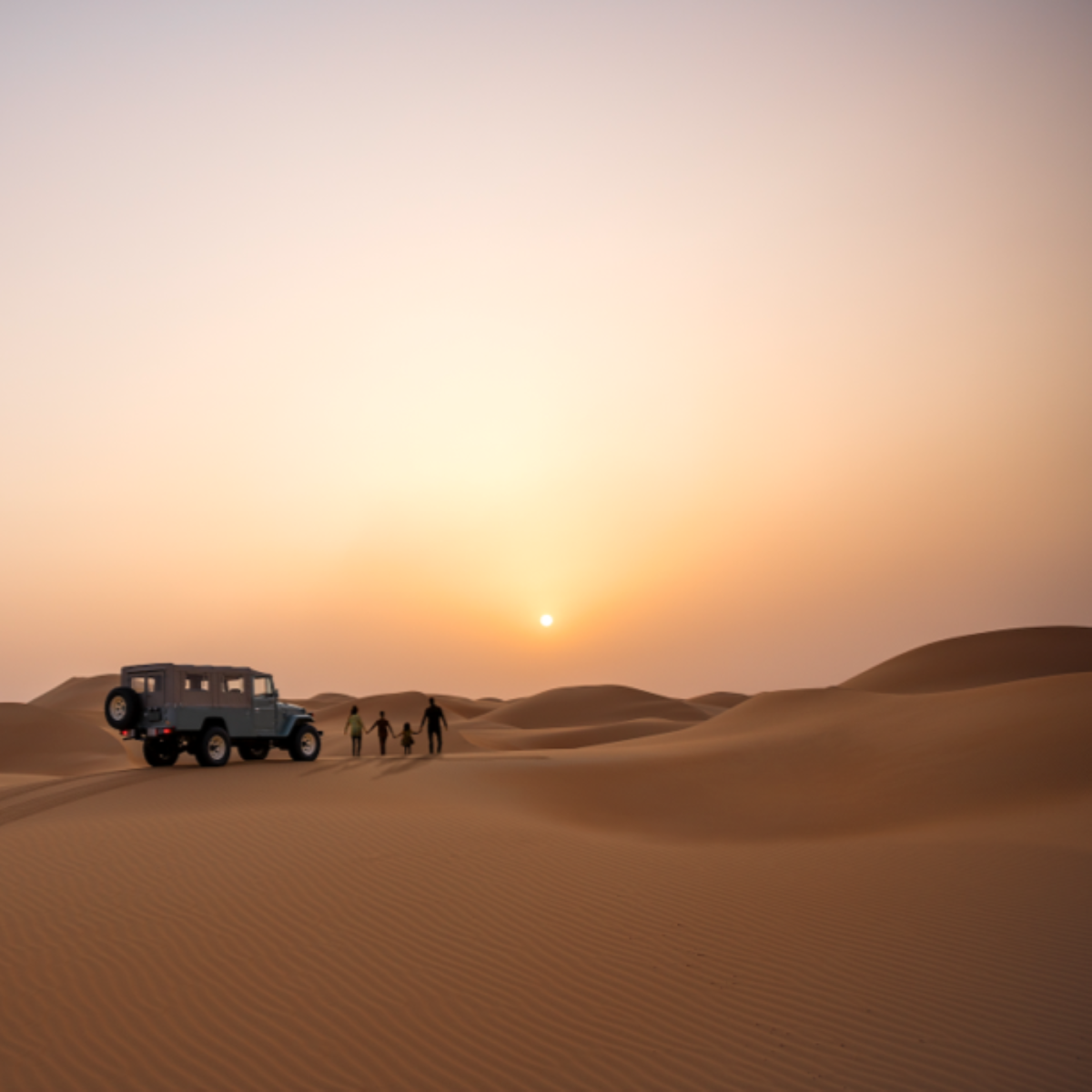 Exclusive Sunset safari experience