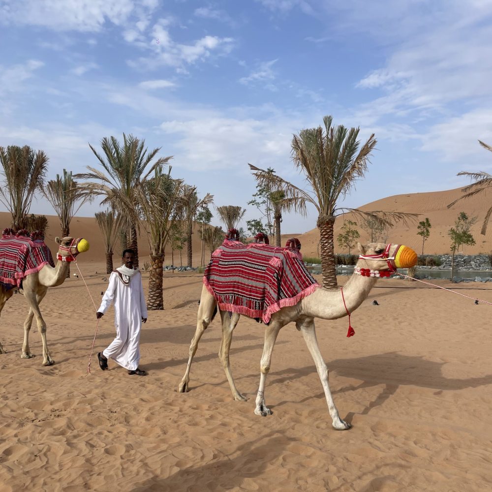 Camel Safari at Nujum Desert Camp