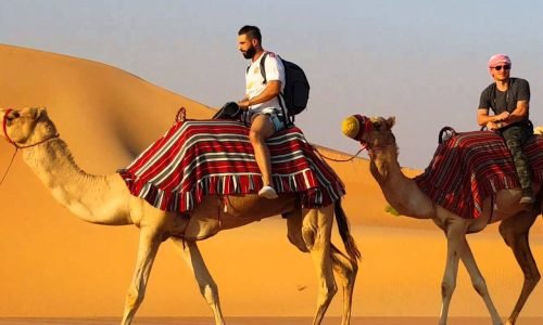 Camel Safari with dinner at Nujum. Bring your desert safari Experience to a new heights.